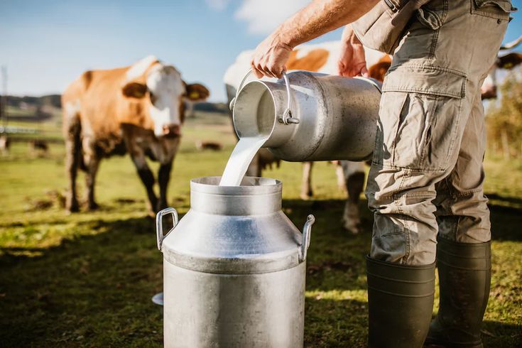 Organic Milk
