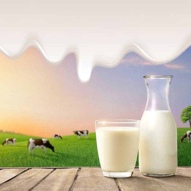 Fresh Milk 2L